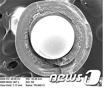 피복입자핵연료 단면 현미경 사진. 구형의 우라늄 입자를 탄소 및 탄화규소를 이용해 삼중으로 둘러싼 직경 1㎜크기의 입자형 연료. ⓒ News1